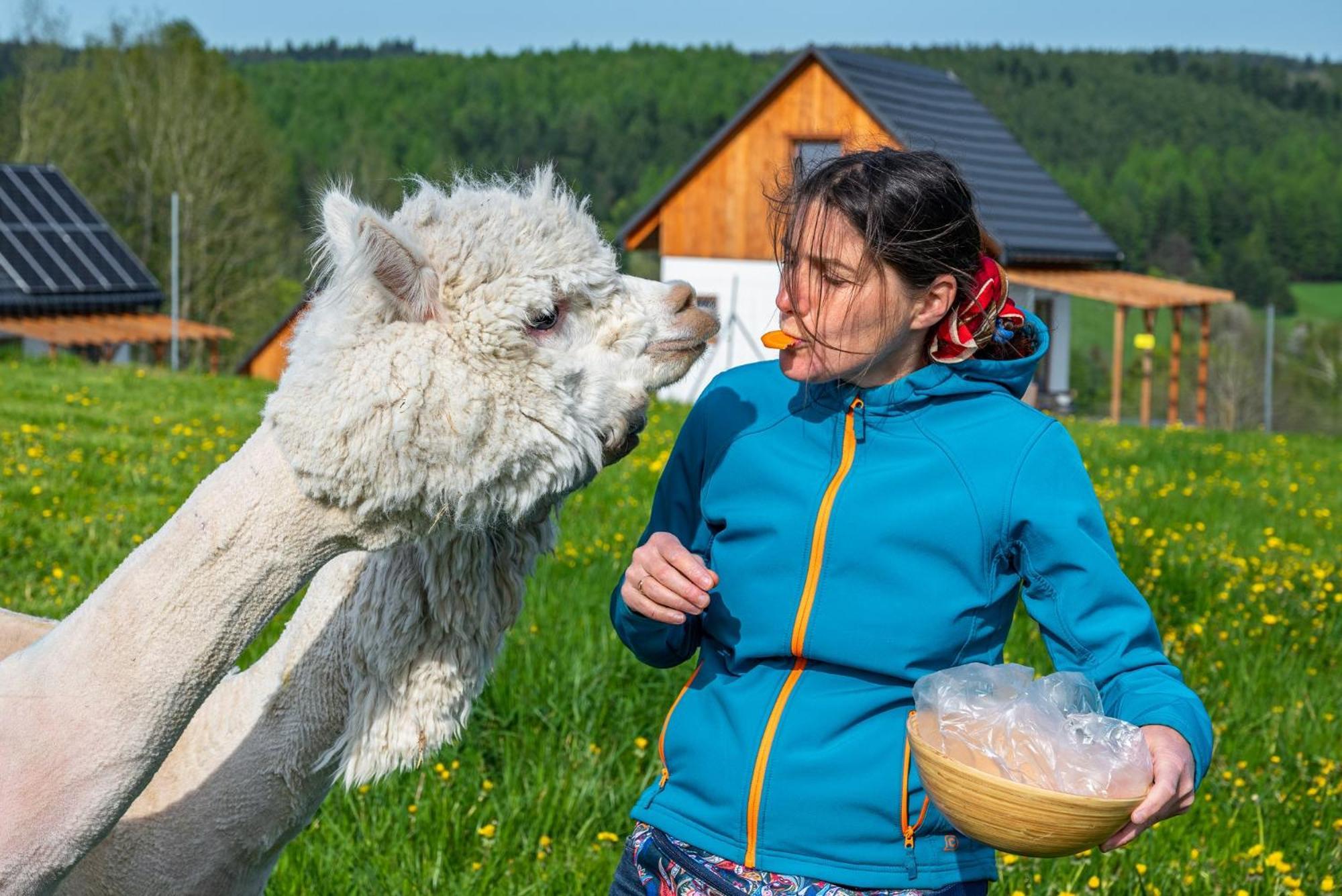 Pastelova Krova - Domki W Bieszczadach Ustrzyki Dolne Luaran gambar